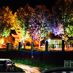 IP65 Waterproof Outdoor Ring Tree Light